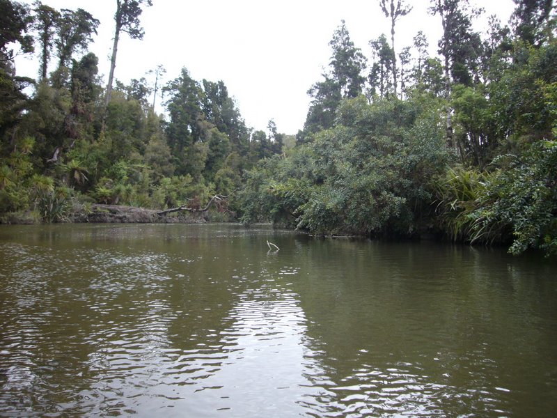Travel - New Zealand - West Coast - Okarito